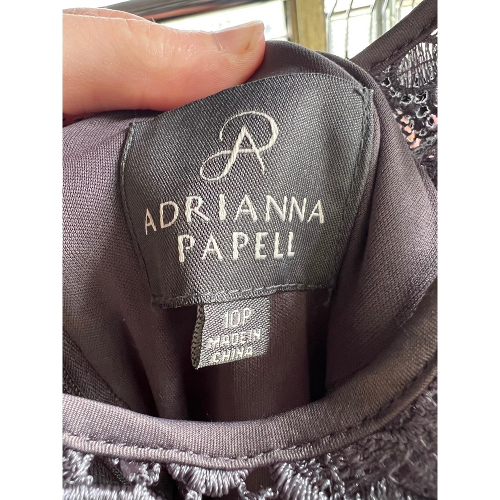 Adrianna Papell Guipure Floral Lace Sleeveless Sheath Dress Grey Cocktail Sz 10P - Picture 5 of 6
